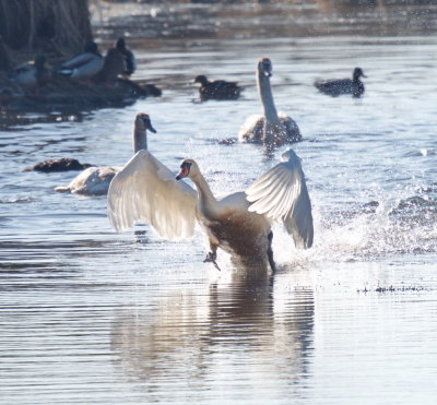 Ready for take-off