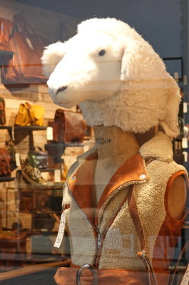 Sheepskin