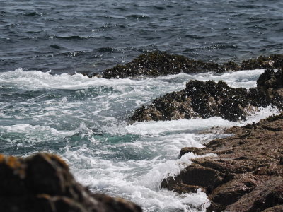 Splash