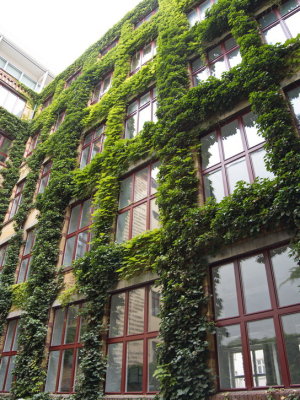 Gipshöfe - green housefront