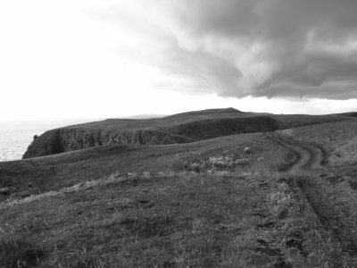 Scottish Borders - tracks BW