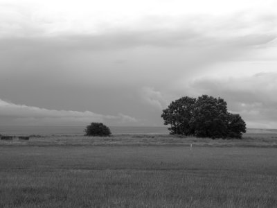 Gathering clouds BW