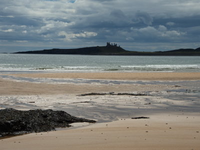 Dunstanburgh Castle at low tide