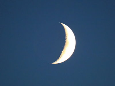 Waxing Moon setting as night is falling 30th September 2022