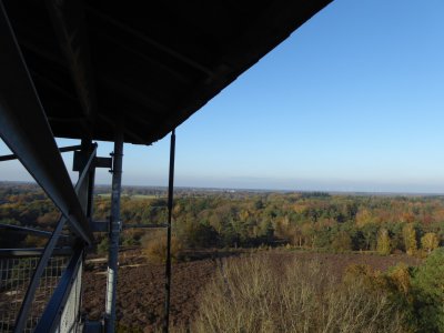 Uitzicht vanaf uitkijktoren Besthmener berg