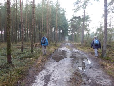 Richting Elspeetse Heide