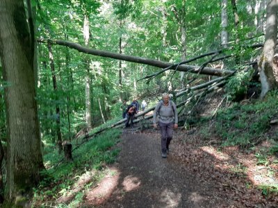Onderweg