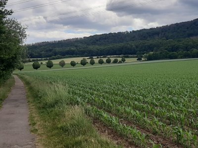Onderweg