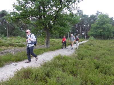 g12/78/312478/3/170849627.FKAeFeNb.jpg