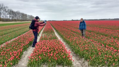 Swifterbant, Tulpenroute Flevoland en Pionierspad 25 april 2021