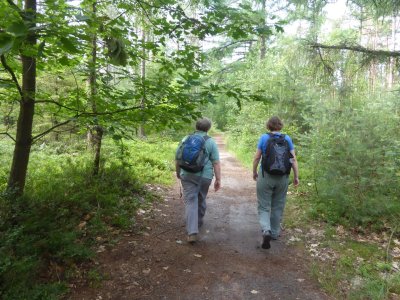 Heerde, Klompenpad Horsthoekerpad 4 juli 2021