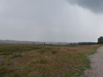 Heerde, Klompenpad Horsthoekerpad 4 juli 2021