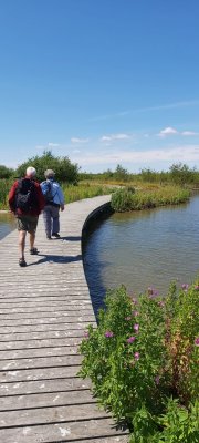 Marker Wadden