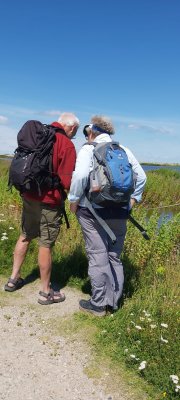 Marker Wadden
