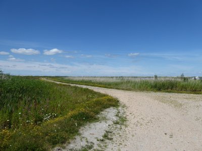 Marker Wadden