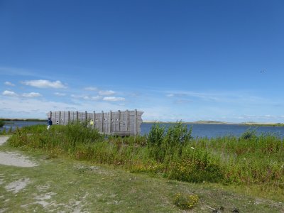 Wandeling Marker Wadden 4 juli 2022