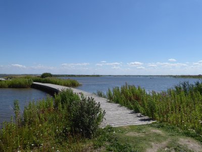 Marker Wadden