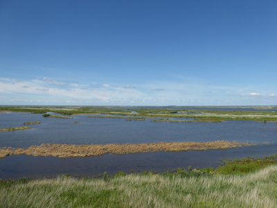 Uitzicht vanaf De Steltloper