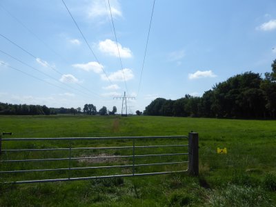 g12/78/312478/3/172837221.ukW72jfa.jpg