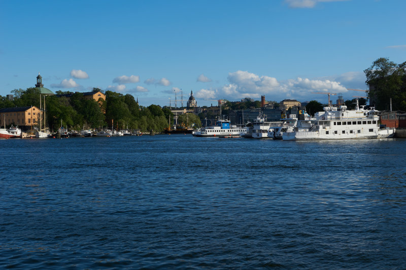 DSC07219.jpg