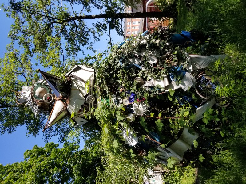 20190614_104217.jpg