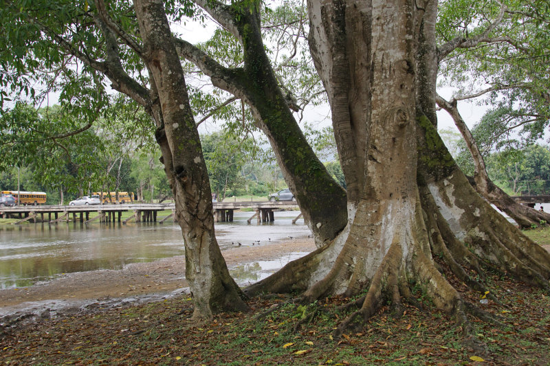 Macal River