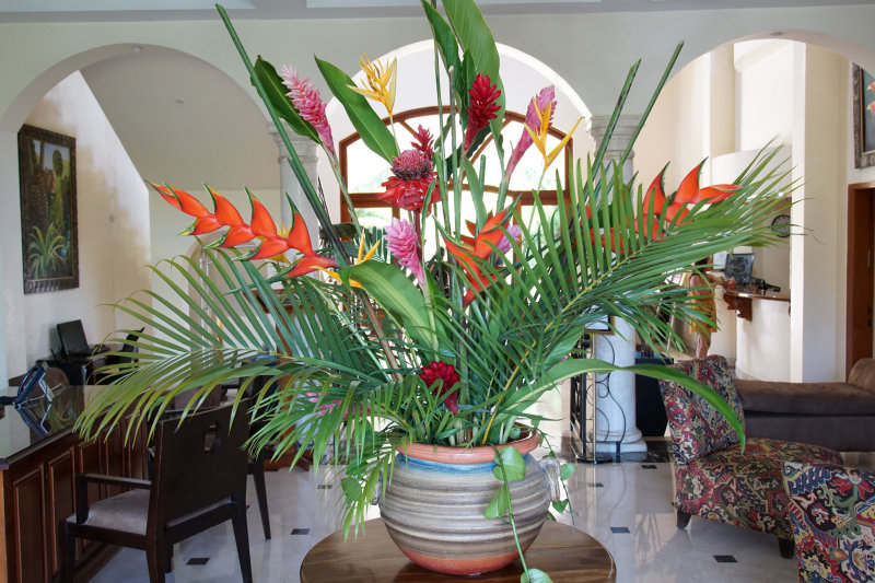 San Ignacio Resort Hotel,  the Green Iguana project host