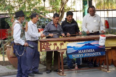 Musicians on 6a Avenida