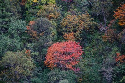 普达措国家公园 /Pudacuo National Park