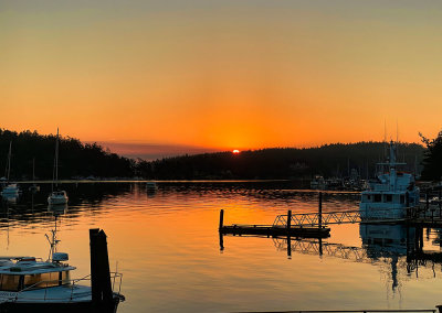 Friday_Harbor_Sunrise_1000p.jpg