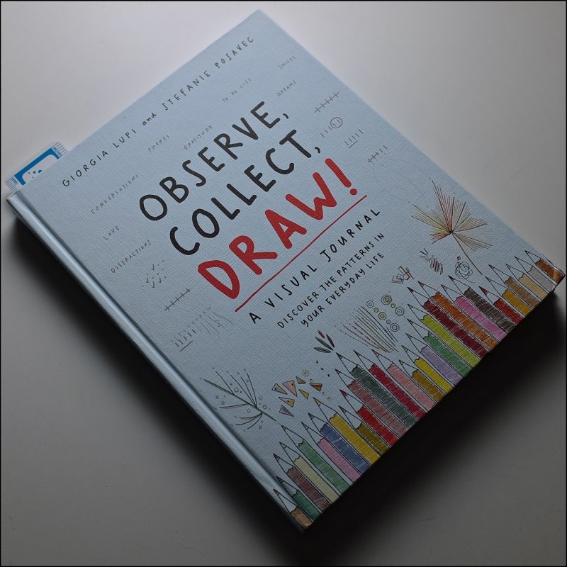 Observe Collect Draw