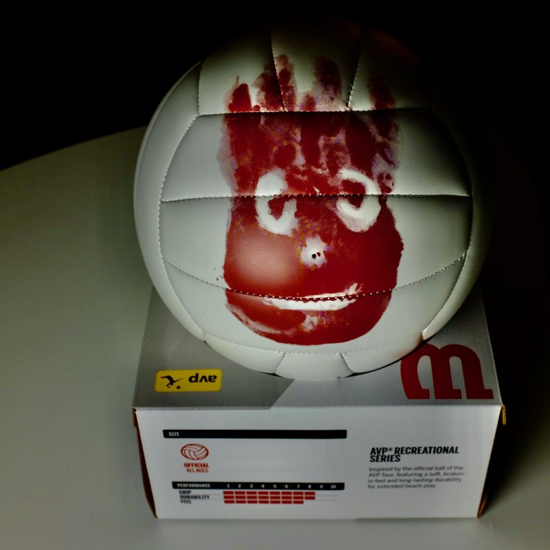 Wilson 1
