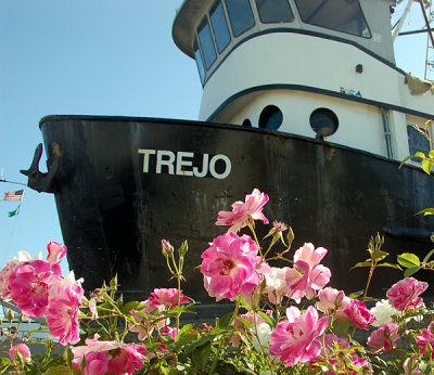 Flowers and Boat
