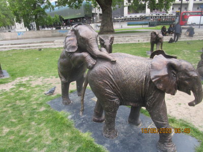 few elephants in London