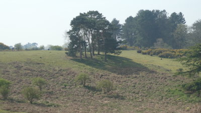 sutton hoo orford fort etc 053.JPG