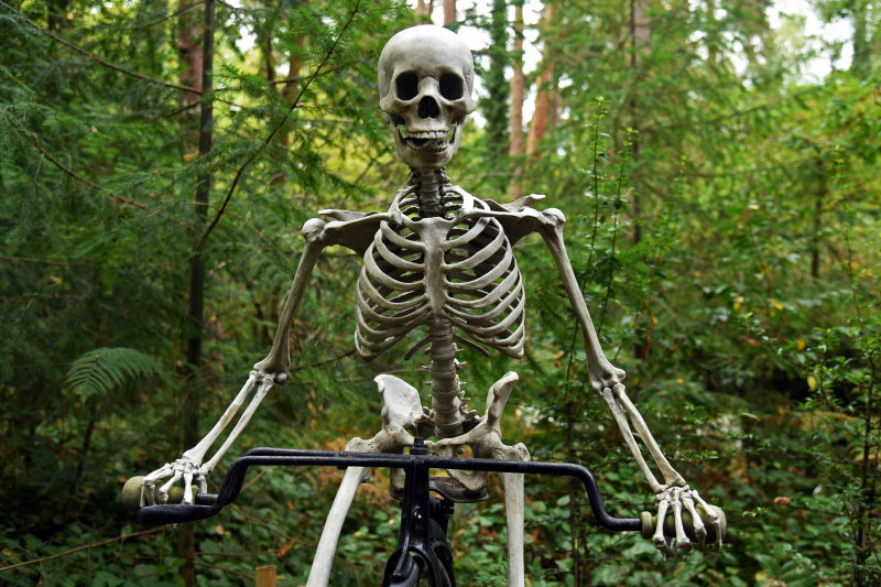 Sculpture Pk