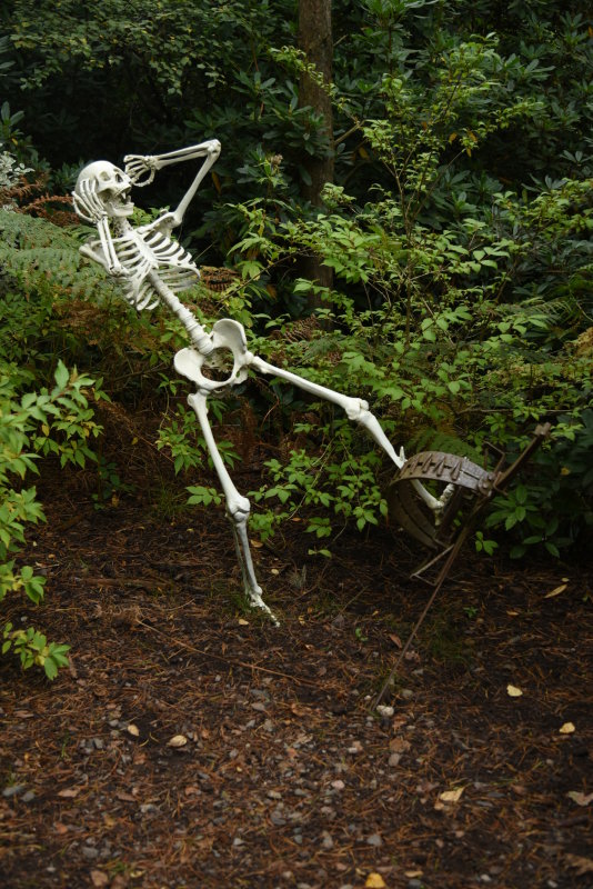 Sculpture Pk