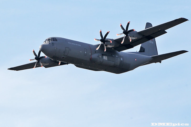 k9678.jpg