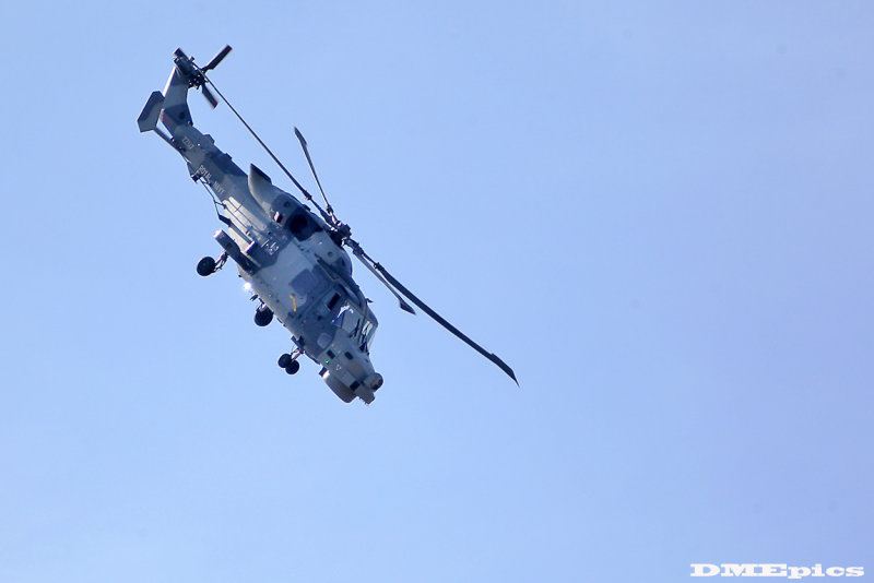 k9937.jpg