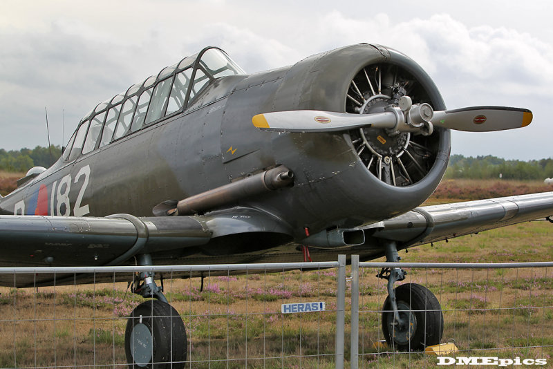 k9729.jpg