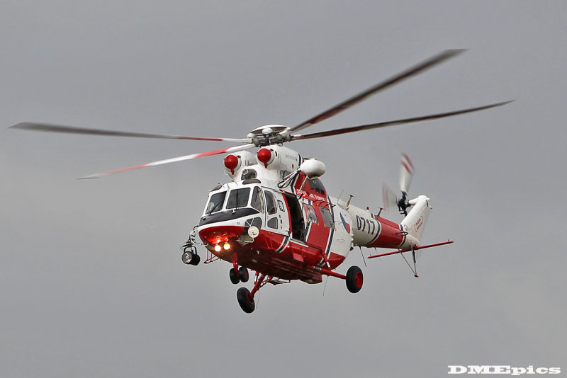 k9991.jpg