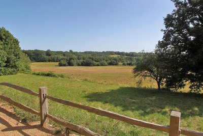 k5425.jpg