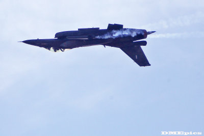 k9805.jpg