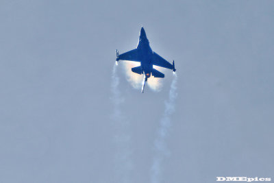 k9831.jpg