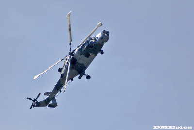 k9946.jpg