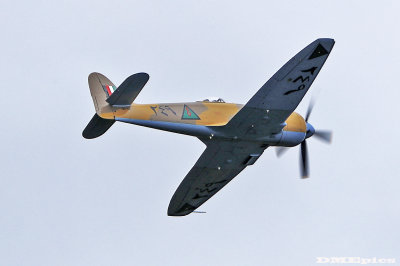 k1655.jpg