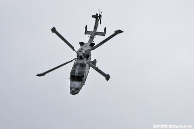k3114.jpg