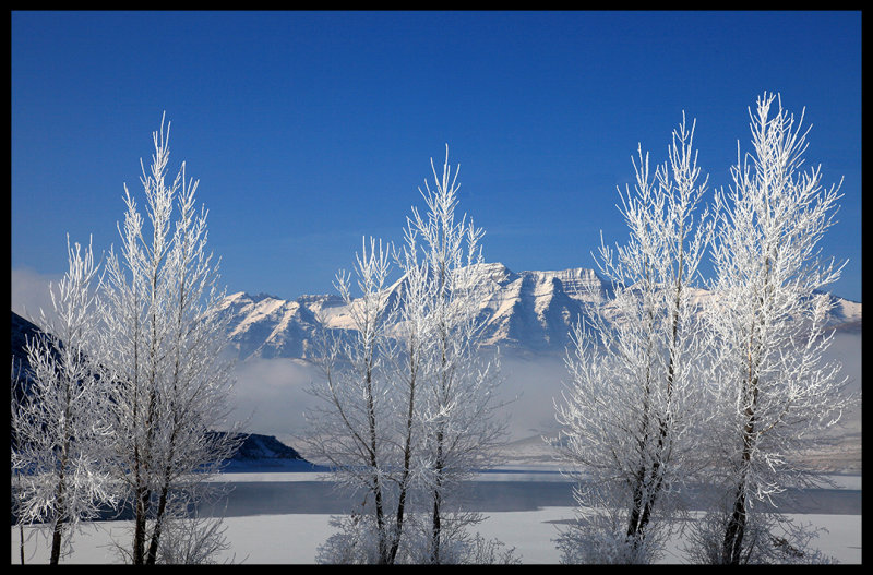 Snow Spectacle