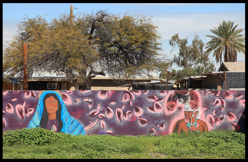 Arizona Natives