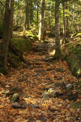 _MG_3506.JPG